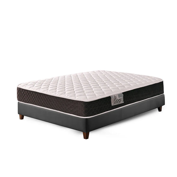 مرتبة روما سوست منفصلة ارتفاع 20 سم | فاميلي بد