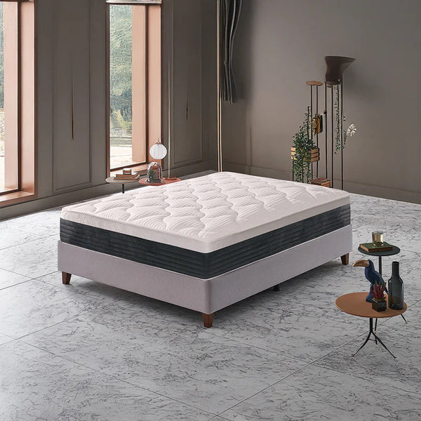 مرتبة جنوى سوست منفصلة ارتفاع 25 سم | فاميلي بد